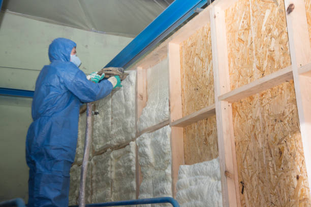Best Insulation Removal  in Britton, SD